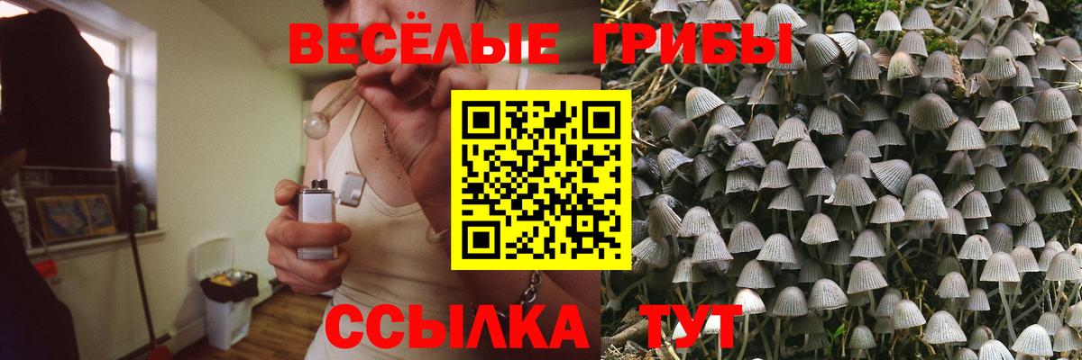 Псилоцибиновые грибы мицелий  Вход с VPN  Калуга  Галлюциногенные грибы мухоморы 